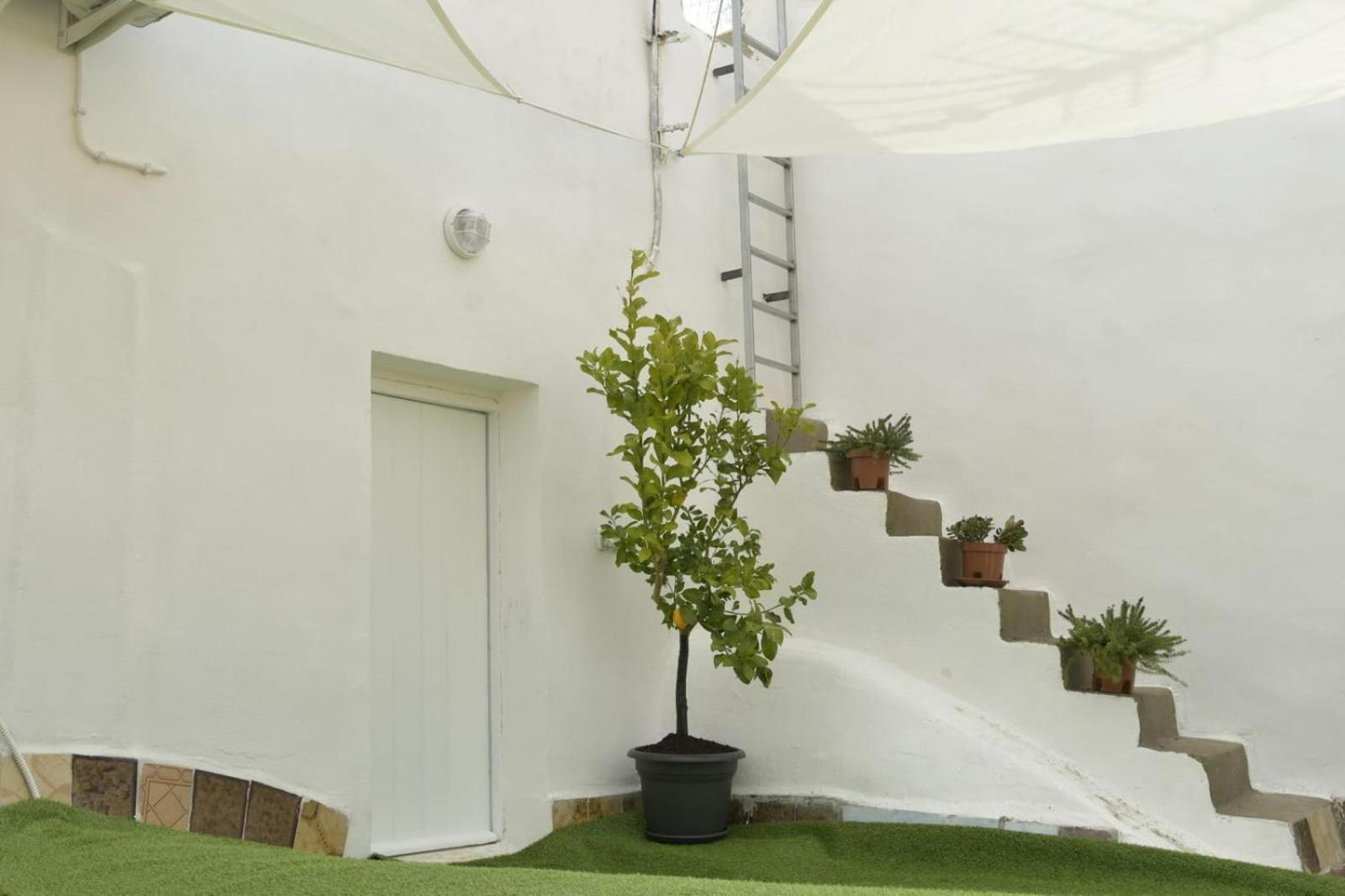 Madre Terra Airport Rooms And Suites Terrasini Ngoại thất bức ảnh